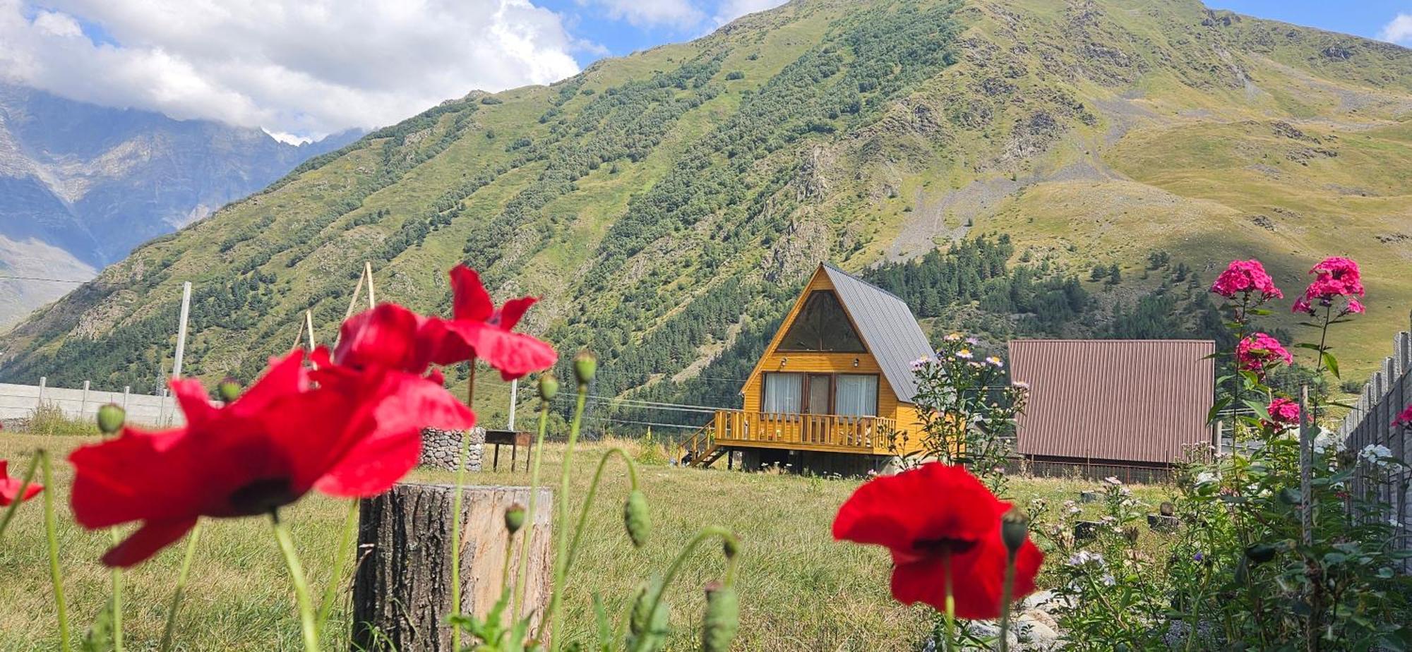 Mountain Hut In Kazbegi别墅 外观 照片